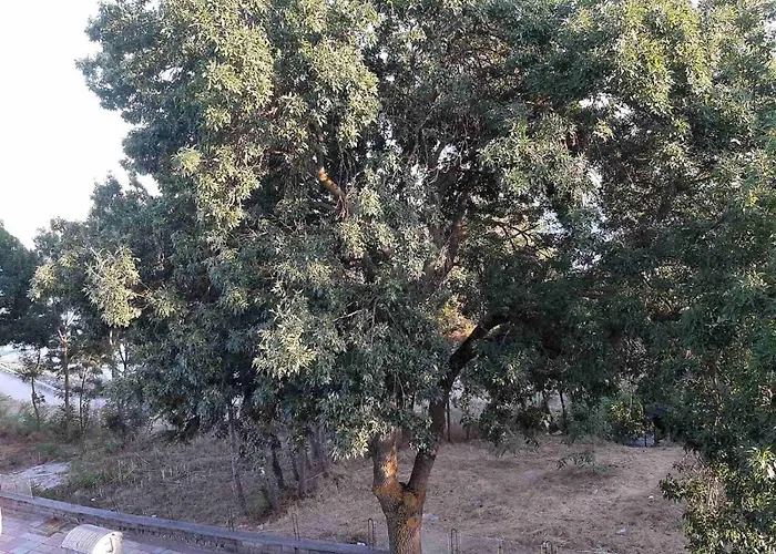 Kostovi 3* Primorsko