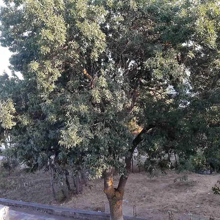 Kostovi 3* Primorsko